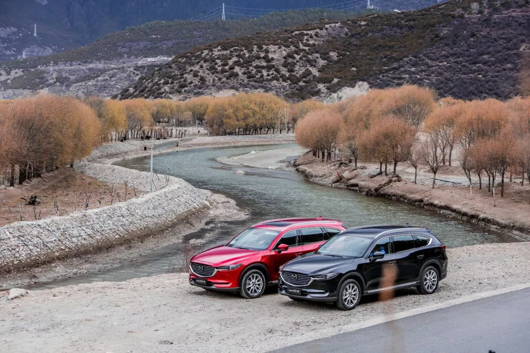 cx-8多少钱，马自达cx-8上路多少钱，cx-8马自达2021款多少钱