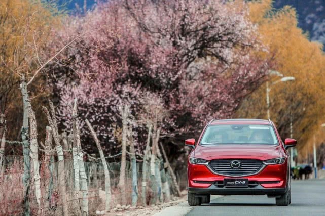 cx-8多少钱，马自达cx-8上路多少钱，cx-8马自达2021款多少钱